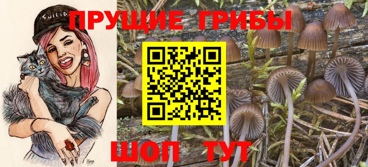 Галлюциногенные грибы прущие грибы  Галлюциногенные грибы прущие грибы  Вход с VPN  Бутурлиновка 