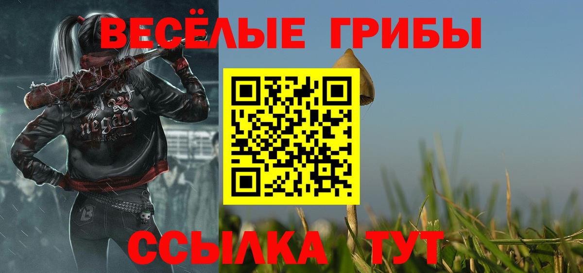 Псилоцибиновые грибы прущие грибы Бутурлиновка